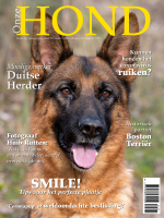 Onze Hond